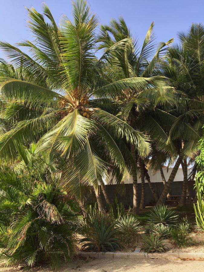 Bubali Gardens Lejlighed Palm Beach Eksteriør billede