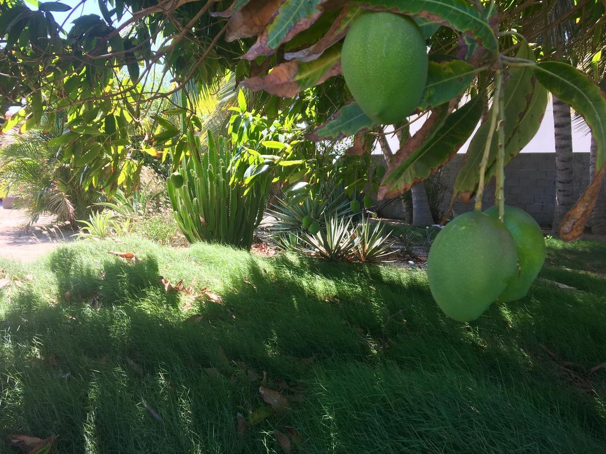 Bubali Gardens Lejlighed Palm Beach Eksteriør billede